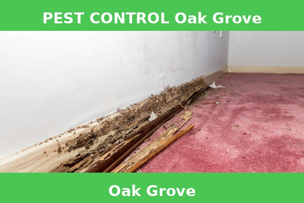 PEST CONTROL Oak Grove